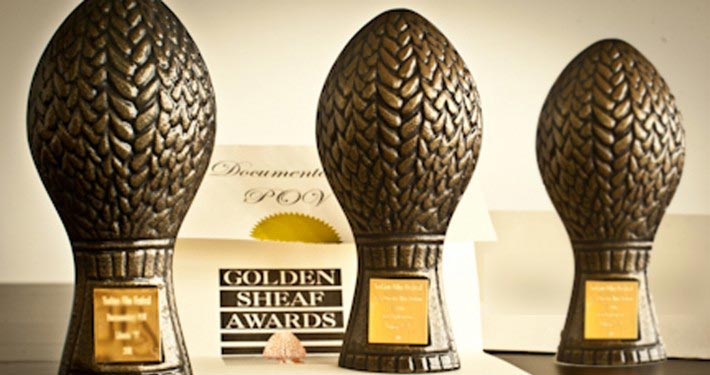 Canyon War Nominated For Golden Sheaf Award